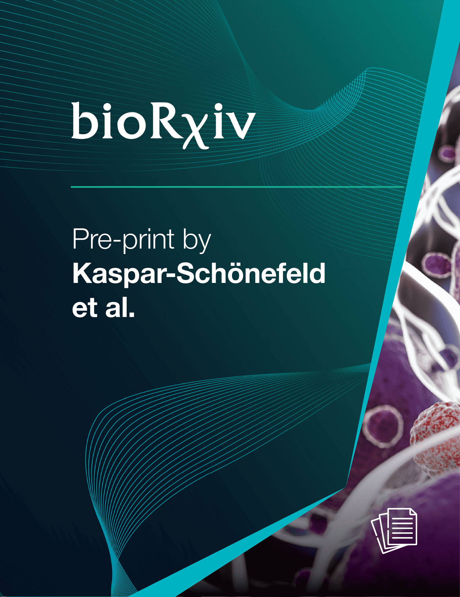 a graphic split into two parts by a diagonal light-blue line On the left, taking up most of the image, is a teal background with the bioRxiv logo on the top left Below is the white text "Pre-print by Kaspar-Schoenefeld et al.". On the smaller, right side of the image, is an abstract representation of red cells and white DNA strands floating in a red-purple space, with a paper icon