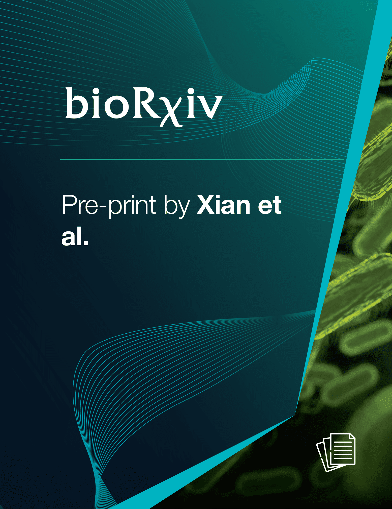 a graphic split into two parts by a diagonal blue line. On the left is the bioRxiv logo on top, then a teal separation line, and then the white text saying "pre-print by Xian et al.", where "Xian et al." is bolded. On the right is an abstract representation of cells, in green, with a paper icon next to it that represents this being a publication.